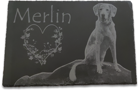 Tiergravur auf Schiefer – Merlin